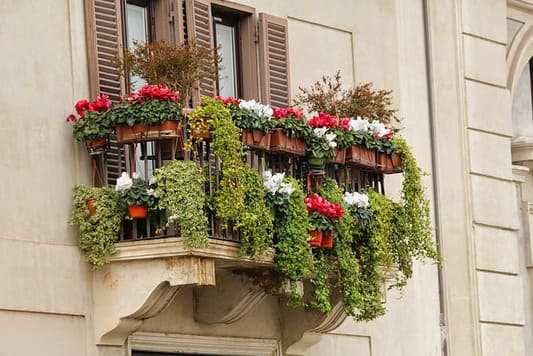 ¿Buscas ideas para llenar de plantas tu terraza o balcón? Te damos 21 opciones